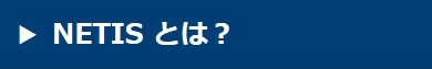 NETISとは